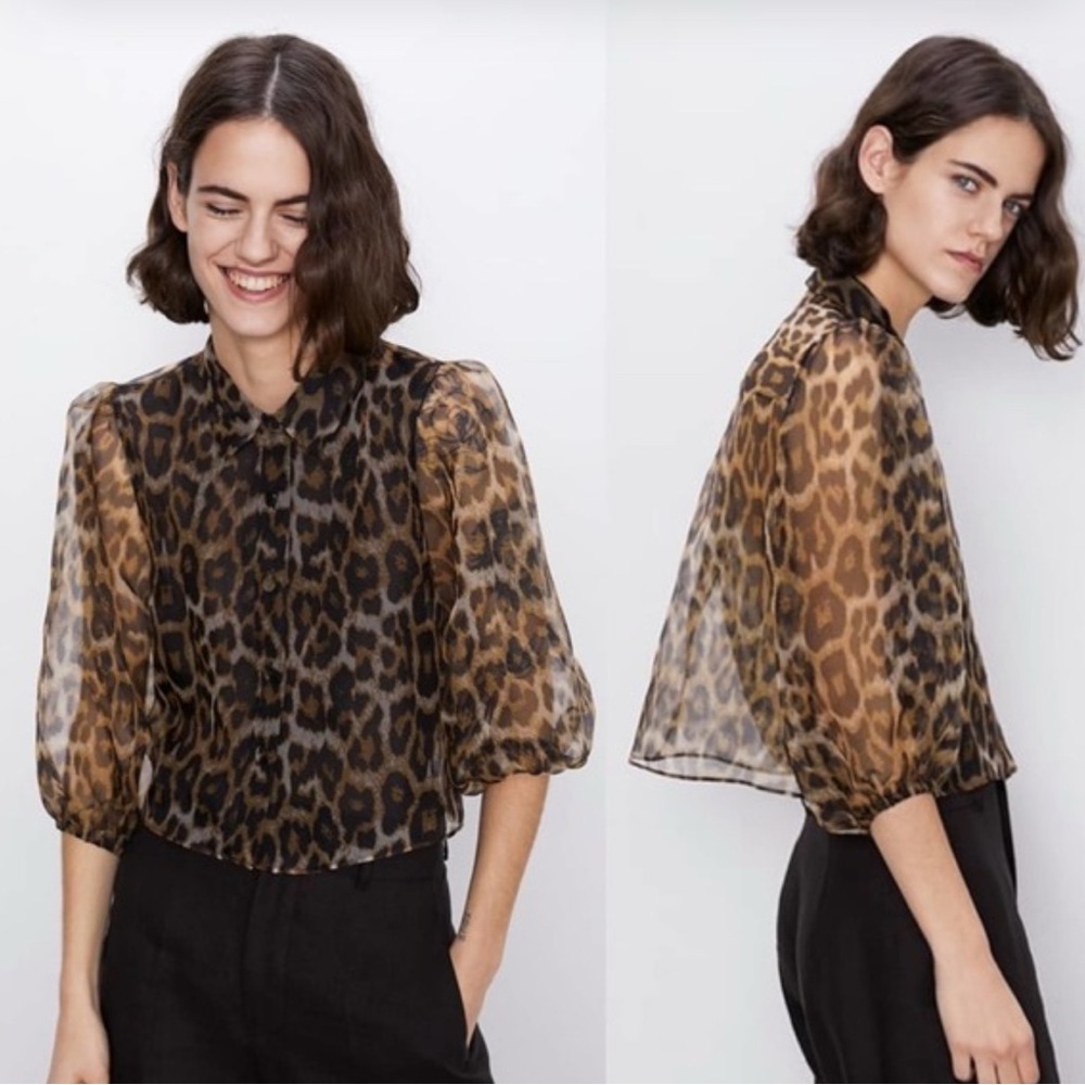 Zara Brown and Black Blouse with Peter Pan Collar and 3/4 Sleeves  (B4)